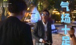 任达华花絮,花絮中的明星魅力