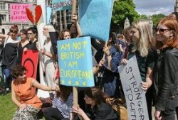 9z娱乐,引领潮流的数字娱乐新纪元