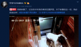 网红家暴案,揭开网络暴力背后的家庭悲剧