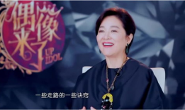 对明星说的话,揭秘明星背后的故事与心声