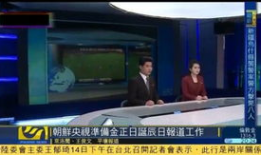朝鲜换美女主播,朝鲜美女主播更替背后的媒体策略揭秘