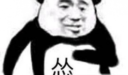 照片咆哮,捕捉照片中的激情与力量