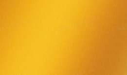 金金的背景,从平凡走向卓越的励志传奇