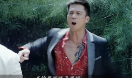 安志杰背景,从武术奇才到影视巨星，探寻他的传奇人生轨迹