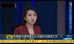 朝鲜换美女主播,朝鲜美女主播更替背后的媒体策略揭秘