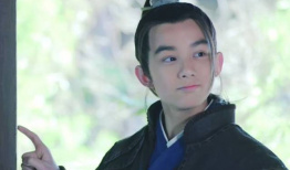 琅琊榜飞流演员,飞流传奇，少年侠客的江湖征程