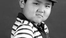 贺瑞文的资料,科技巨擘的崛起与辉煌