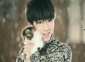 娱乐圈吃瓜爆料吴磊热巴